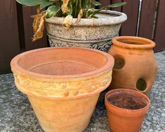 ASSORTED POTS TERRA COTTA & COMPOSITE W HOSTA PLANT
