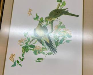 Lee Adams Wildlife Print