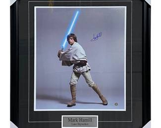 141 Mark Hamill Framed Autographed Star Wars 16X20 Photo Posed
