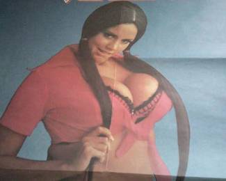 DSCF0062 One-sheet movie poster for Russ Meyer's 1975 "Super Vixens"