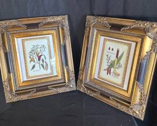 Kirchner Botanical Gold Toned Framed Prints A Taste of Red Pepper and Taste of Red Cardamon
