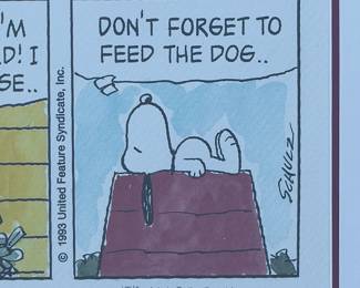 Charles Schulz Peanuts Lithograph It's My Destiny Framed Comic Strip COA
