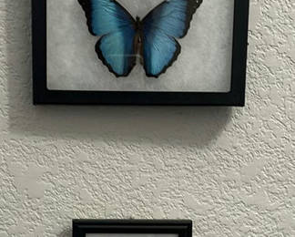 Lot 154: Framed Butterfly and Moth Display Collection with Metal Hamsa Wall Decor