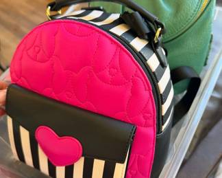 Backpack/purse