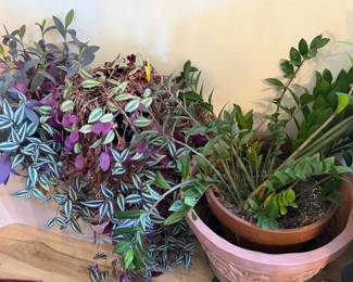 Live + faux plants