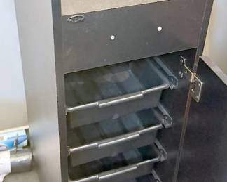 Storage unit with pull-out bins
