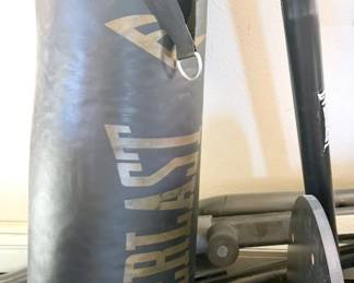 Everlast punching bag
