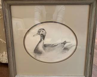 Pen and Ink Drawing of duck