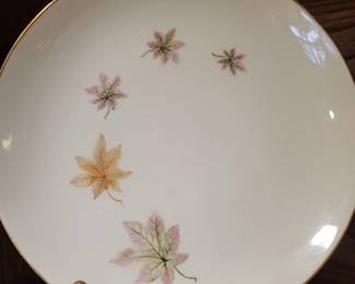 Coupe Smooth Multi Color Maple Leaves