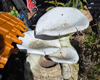 mushroom fountain