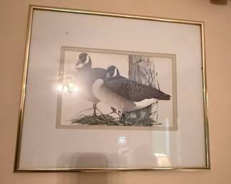 Canada Geese Wildlife Print