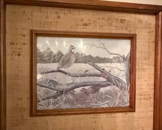 Vintage Quail Wildlife Print