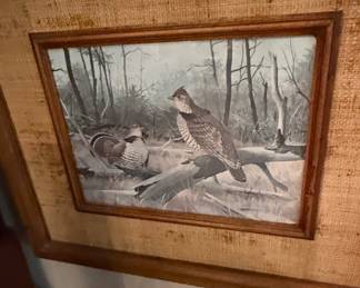 Vintage Ruffed Grouse Wildlife Print