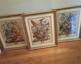 Pictures