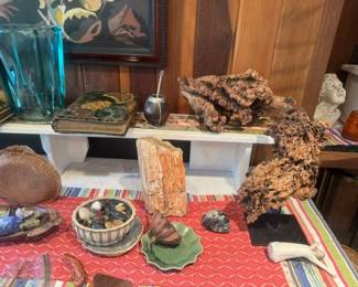 Exquisite Wood formations and petrified rocks