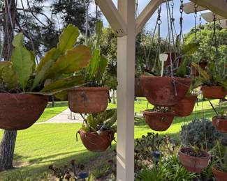 TERRACOTTA HANGERS WITH SUCCULANTS