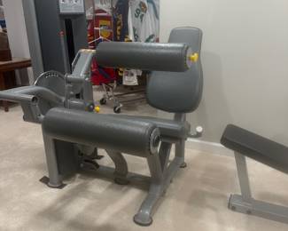 Paramount Leg extension/leg curl