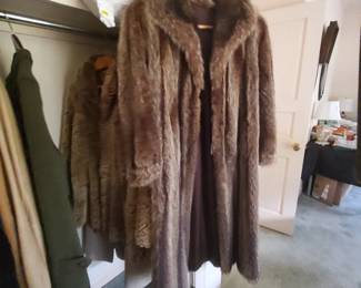 Raccoon Coat