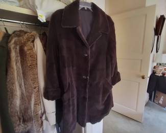 Sheared Beaver