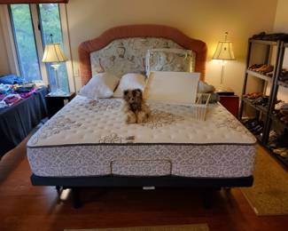 Serta Electronic Ergomotion King Bed