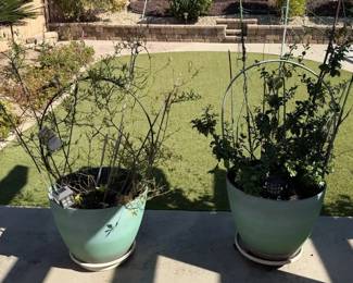 Large Planters Potted Plants Plant Caddy Solar Lantern Stakes Trellis Patio Lot