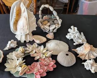 Natural Seashell Lot with Shell Flower Wreath, Abalone, Coral, Sand Dollar