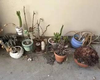 Rustic Succulent Planter Lot with Terracotta Pots and Hemingray Glass Insulators