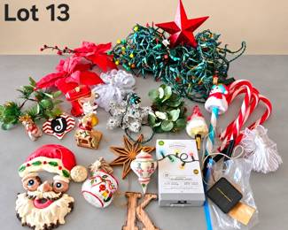 Lot 13 Christmas lights and decor