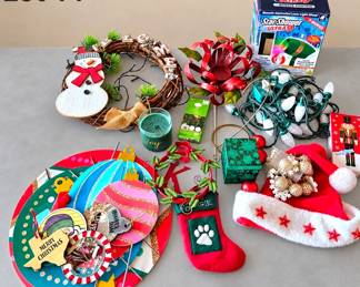 Lot 14 Christmas decor and more