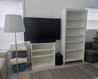 Bookshelves, Television, Speaker, and Ottoman