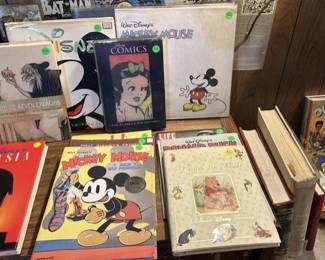 Disney Collector Books
