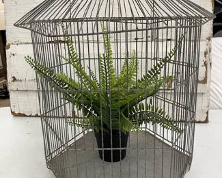 Bird Cage