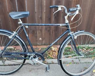 Scwhinnbicycle