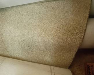 Large Tan Area Rug