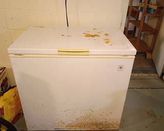 GE Freezer Chest