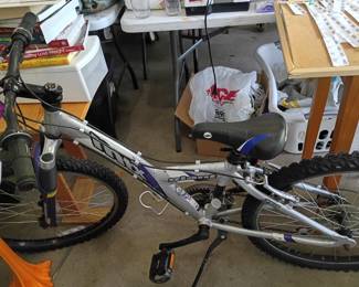 Silver mountain bike