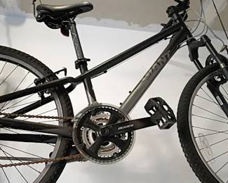 Black Giant mountain bike