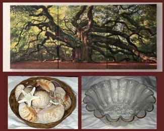 Pretty Triptych, Shells & Large Glass Centerpiece Bowl  