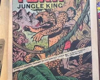 Toka Jungle King No. Comic Book second image