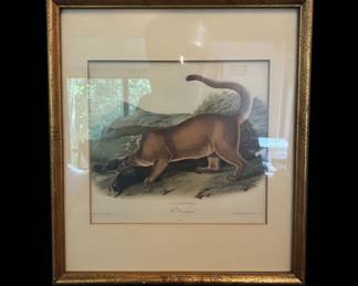 John Woodhouse Audubon The Cougar, Male Lithograph