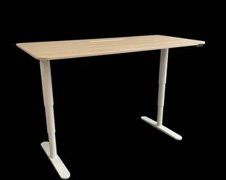 Electric HeightAdjustable Standing Desk