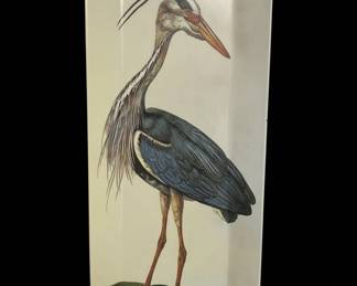Mark Catesby The Heron Decorative Plastic Tray