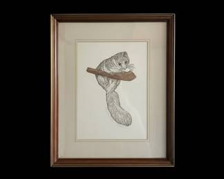 Vintage Framed Flying Squirrel Etching