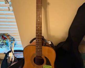 Finder Guitar, stand, case
