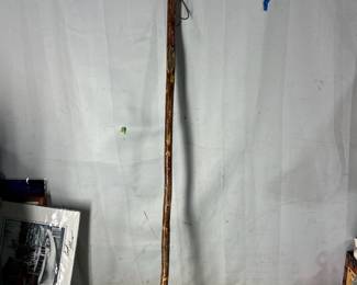 Walking stick