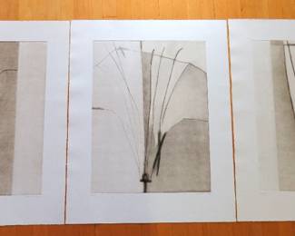 Suzanne Caporeal "Dissection, Tobacco Flower"