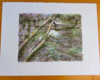 Robert Burkert "River Snag"
