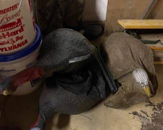 Turkey decoys