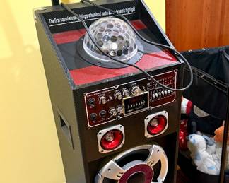 Dolphin Karaoke Machine