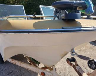 17 foot Newman boat with Johnson 100 outboard motor in good condition